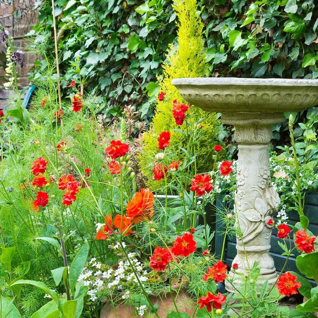 1080x1080Social-1 Bird bath in the FLrden