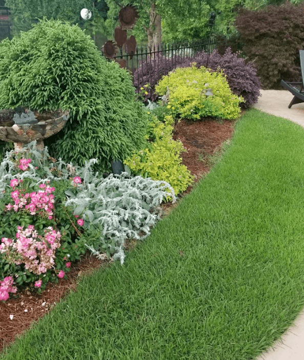 Simply-Green-Lawn-Care-Plant-Healthcare-photo-3 Simply-Green-Lawn-Care-Plant-Healthcare-photo-3