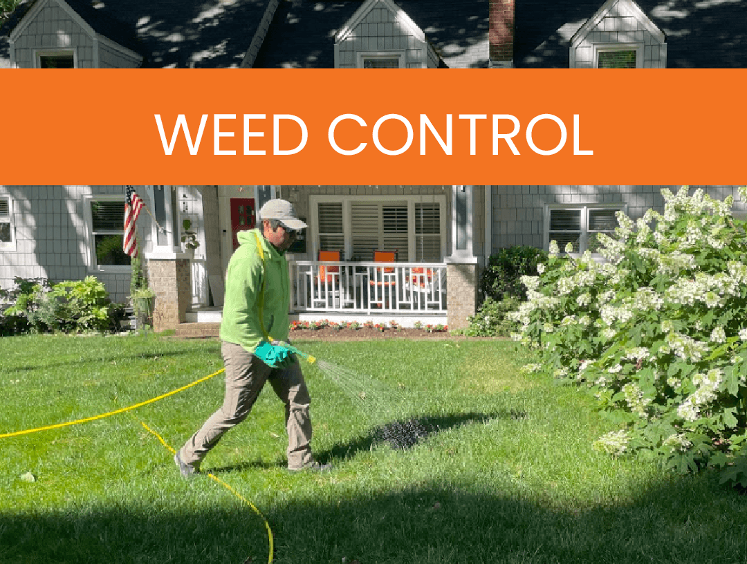 Simply-Green-Lawn-Care-Services-Weed-Control Weed Control